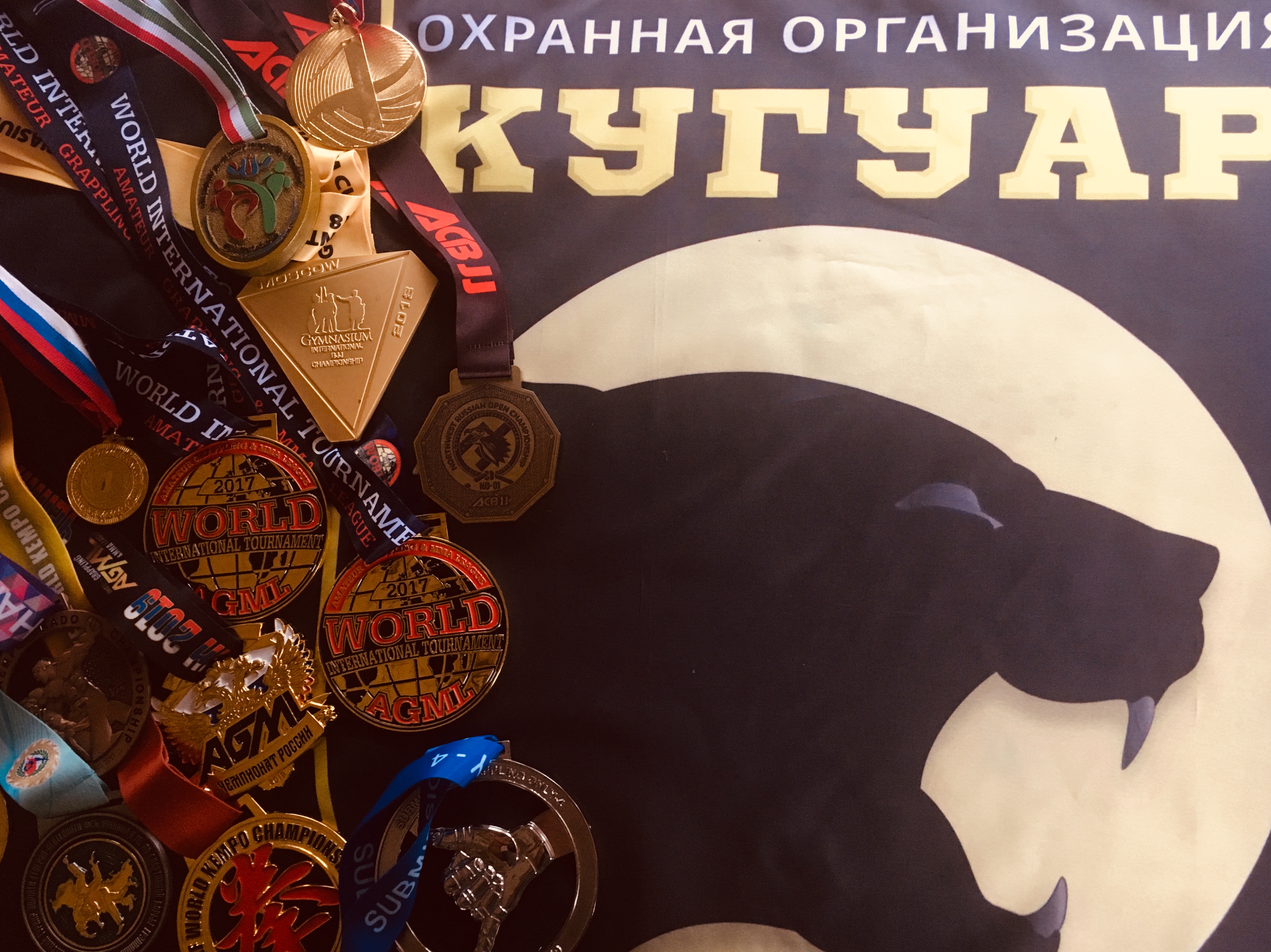 July 31 - August 5, 2019, Russian Championship in wrestling, Oryol 